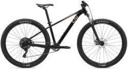 Image of Liv Tempt 4 2025 Mountain Bike