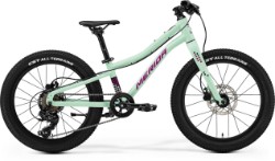 Image of Merida Matts J.20+ 2025 Kids Bike